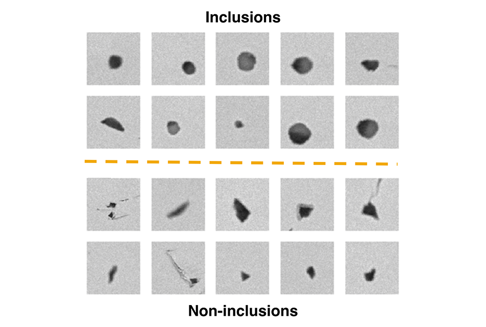 Technical graphic showing inclusions and noninclusions