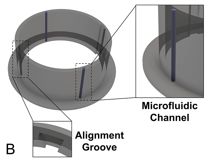 Technical graphic showing the alignment grove and microfluidic chamber of the dura