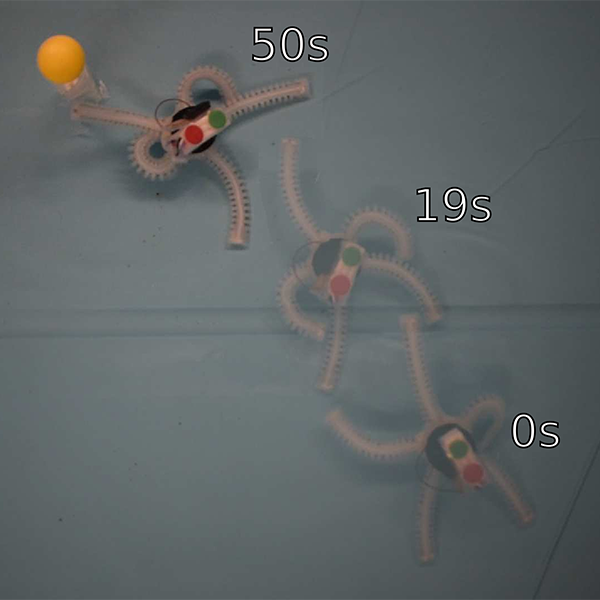 The plastic starfish robot's movement over the course of 50 seconds